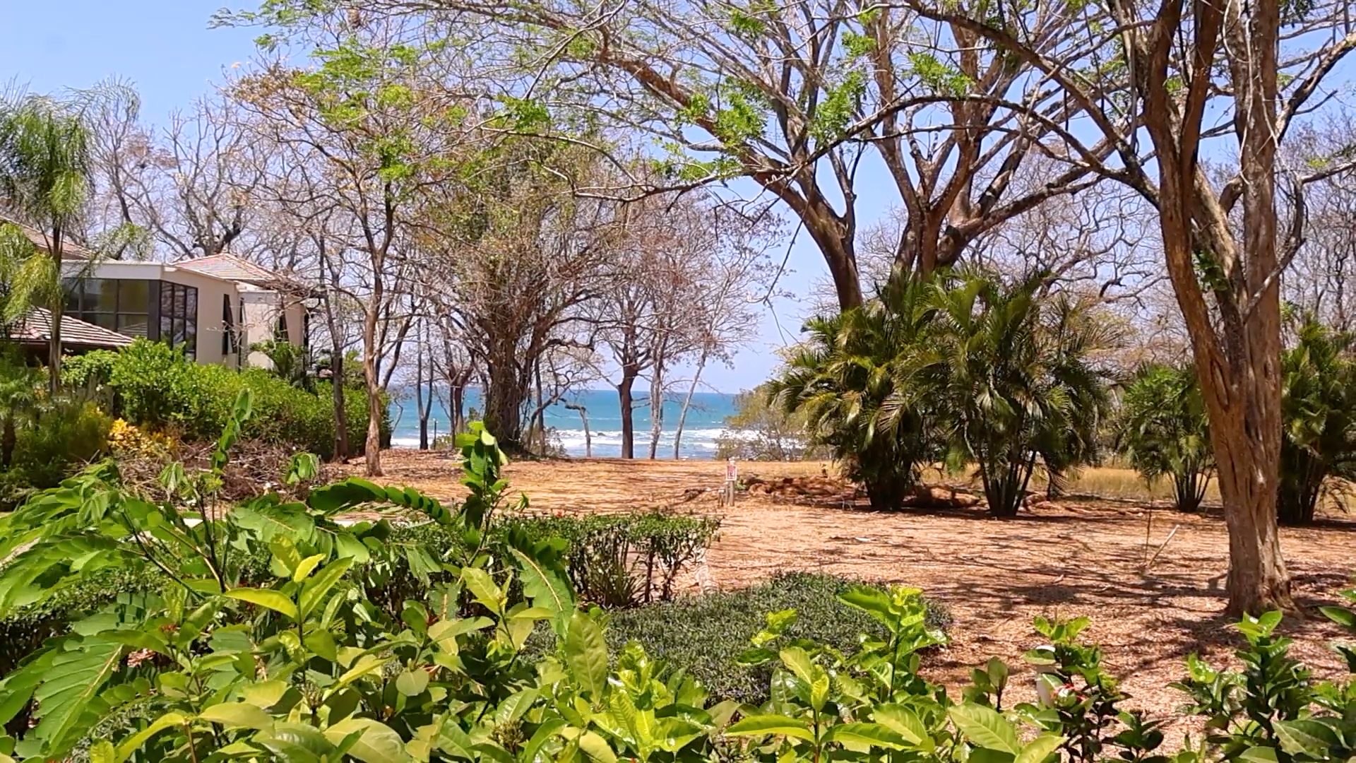 Paisaje de playa con un casa a la orilla de la misma, se nota el sol y el calor que existe en el lugar, es un paisaje con vegetación verde y otra seca.